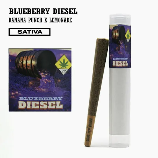 Phat Panda - Phat Panda | Blueberry Diesel | Joint | 1g - 1