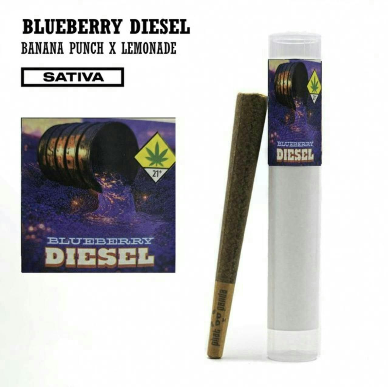 Phat Panda - Blueberry Diesel | Joint | 1g - 1
