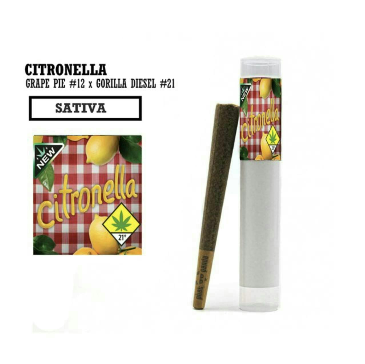 Phat Panda - Citronella | Joint | 1g - 1