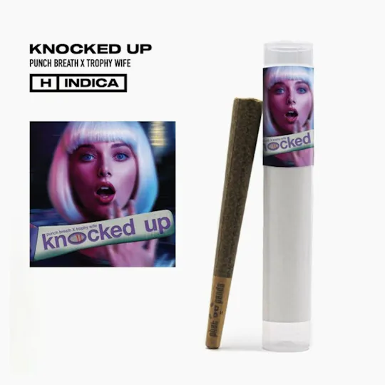 Phat Panda - Phat Panda | Knocked Up | Joint | 1g - 1