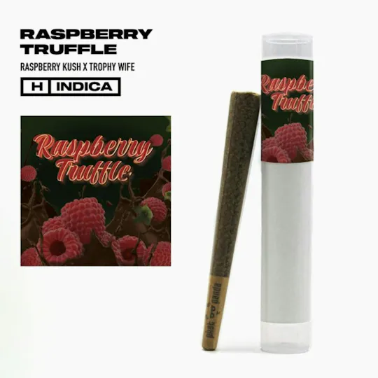 Phat Panda - Platinum | Raspberry Truffle | Joint | 1g - 1