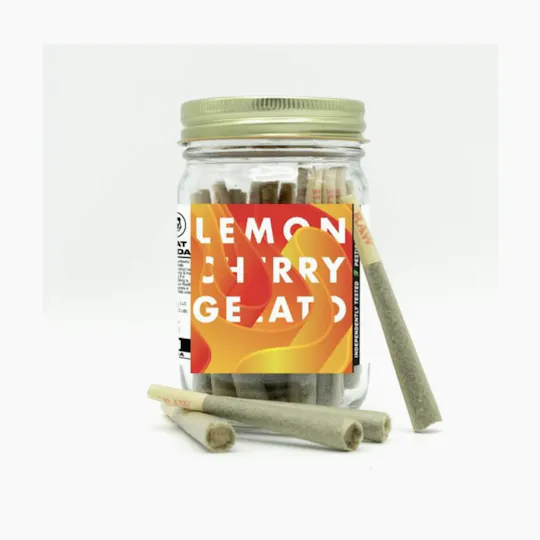 Phat Panda - Phat Panda | Lemon Cherry Gelato | Joints | 1g | 28pk - 1