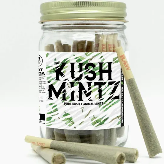 Phat Panda - Phat Panda | Kush Mintz | Joints | 1g | 28pk - 1