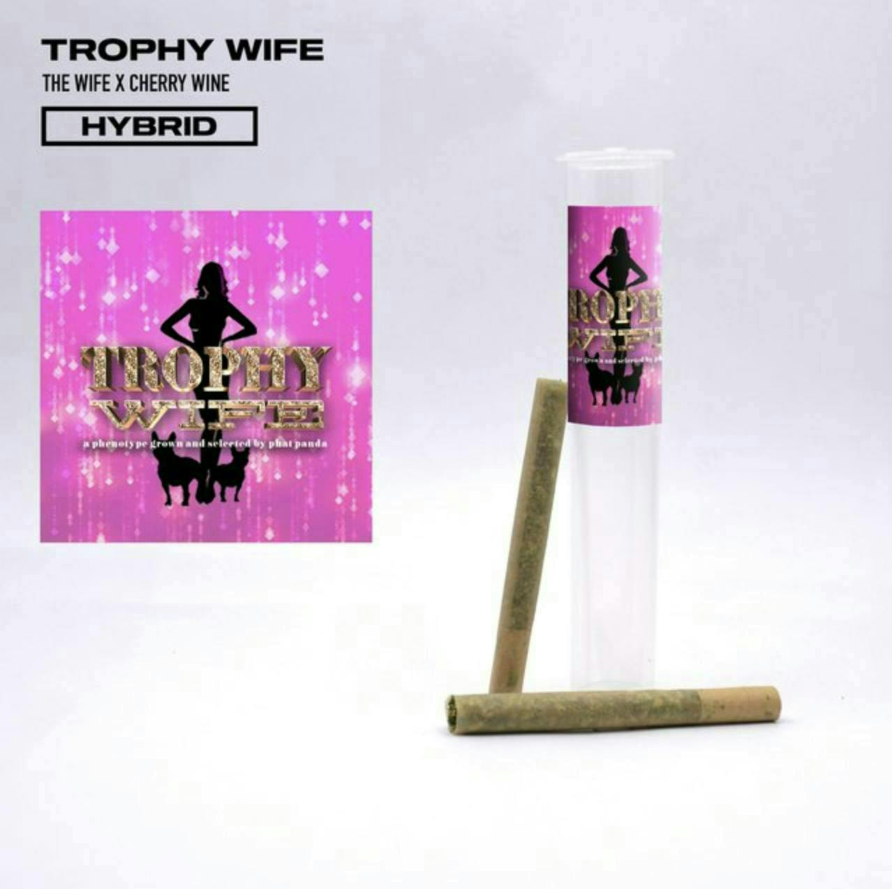 Phat Panda - Bangers | Trophy Wife | Minis | 0.5g each | 2pk - 1