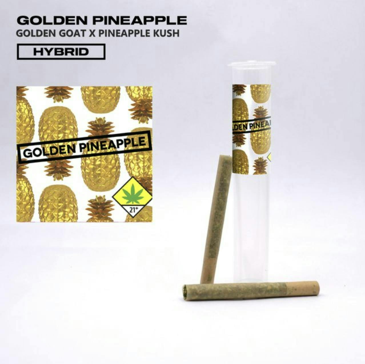 Phat Panda - Phat Panda Bangers | Golden Pineapple | Minis | 0.5g each | 2pk - 1