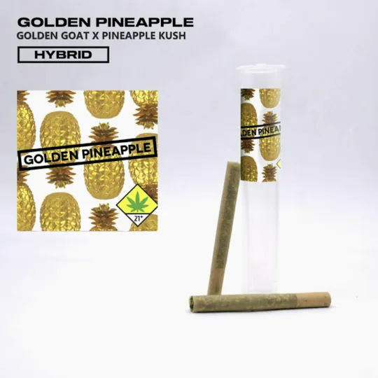 Phat Panda - Bangers | Golden Pineapple | Minis | 0.5g each | 2pk - 1