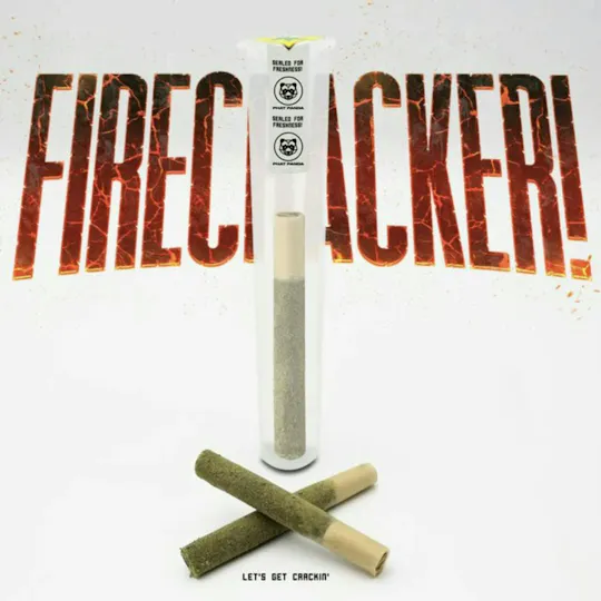 Phat Panda - Firecracker | Northern Lights | Infused Joint | 1g - 1