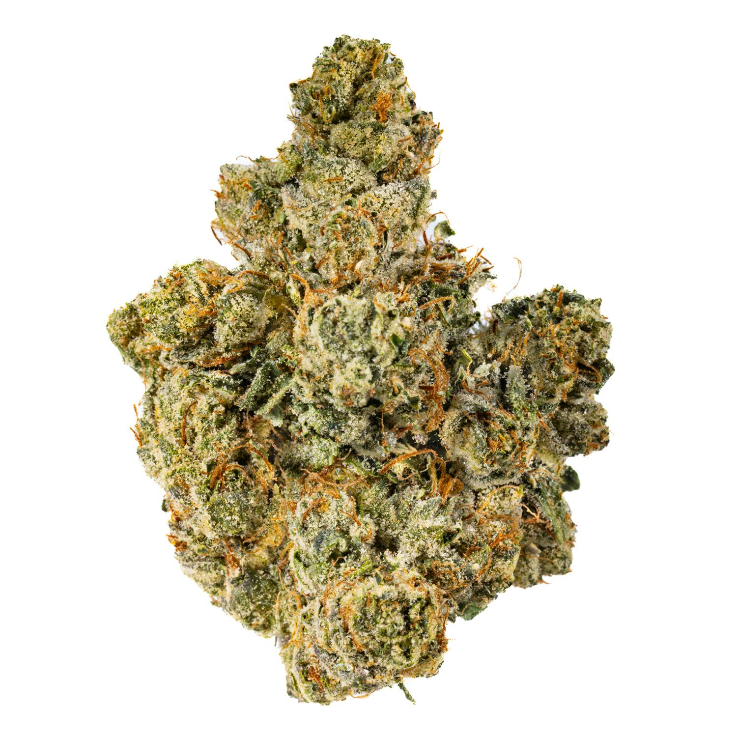 West Coast Cure - One-OG - 3.5G Bhomb Headstash Flower - 1