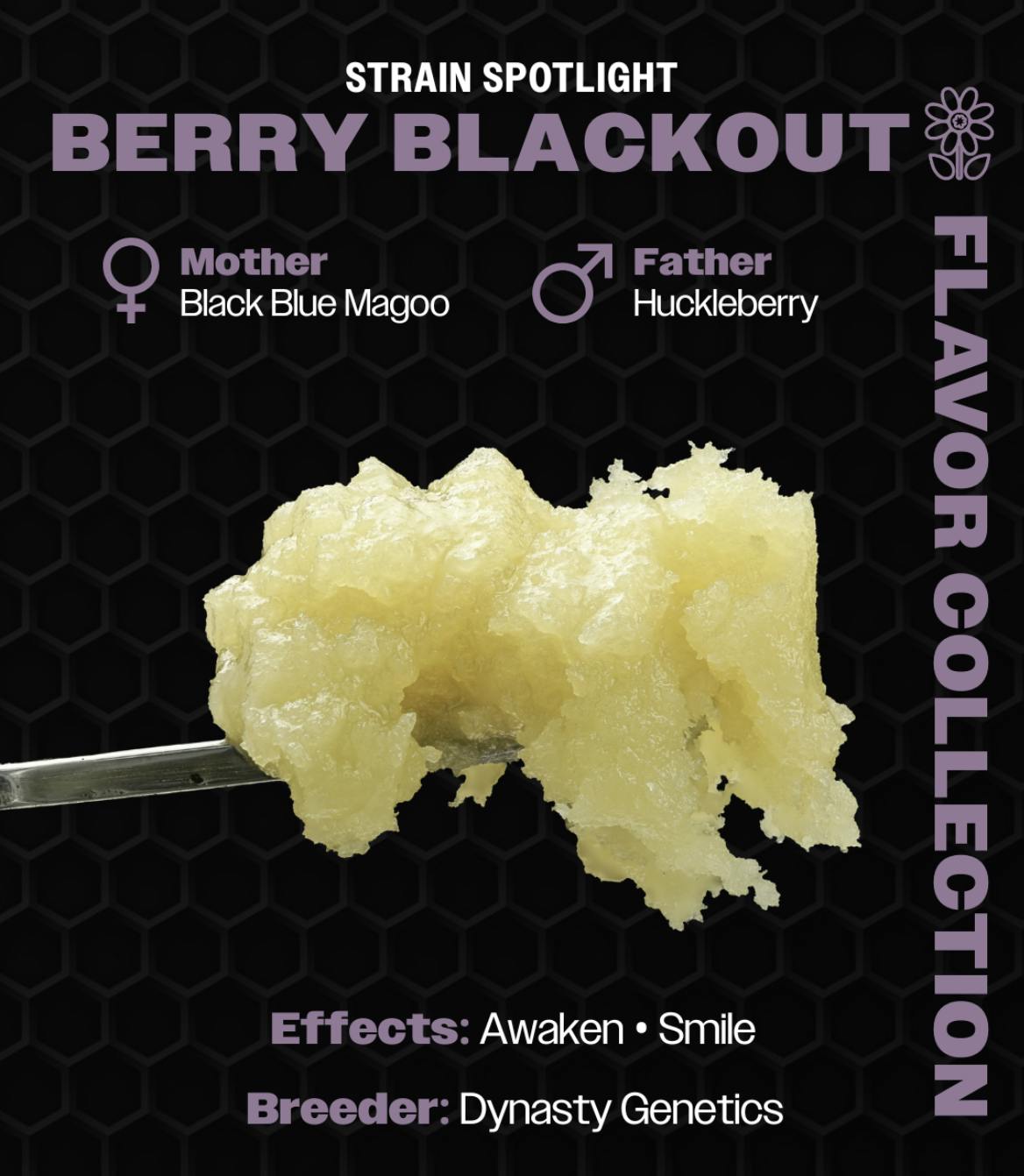 Wojo Co - Wojo Co | Berry Blackout - Live Rosin | 1g - 1