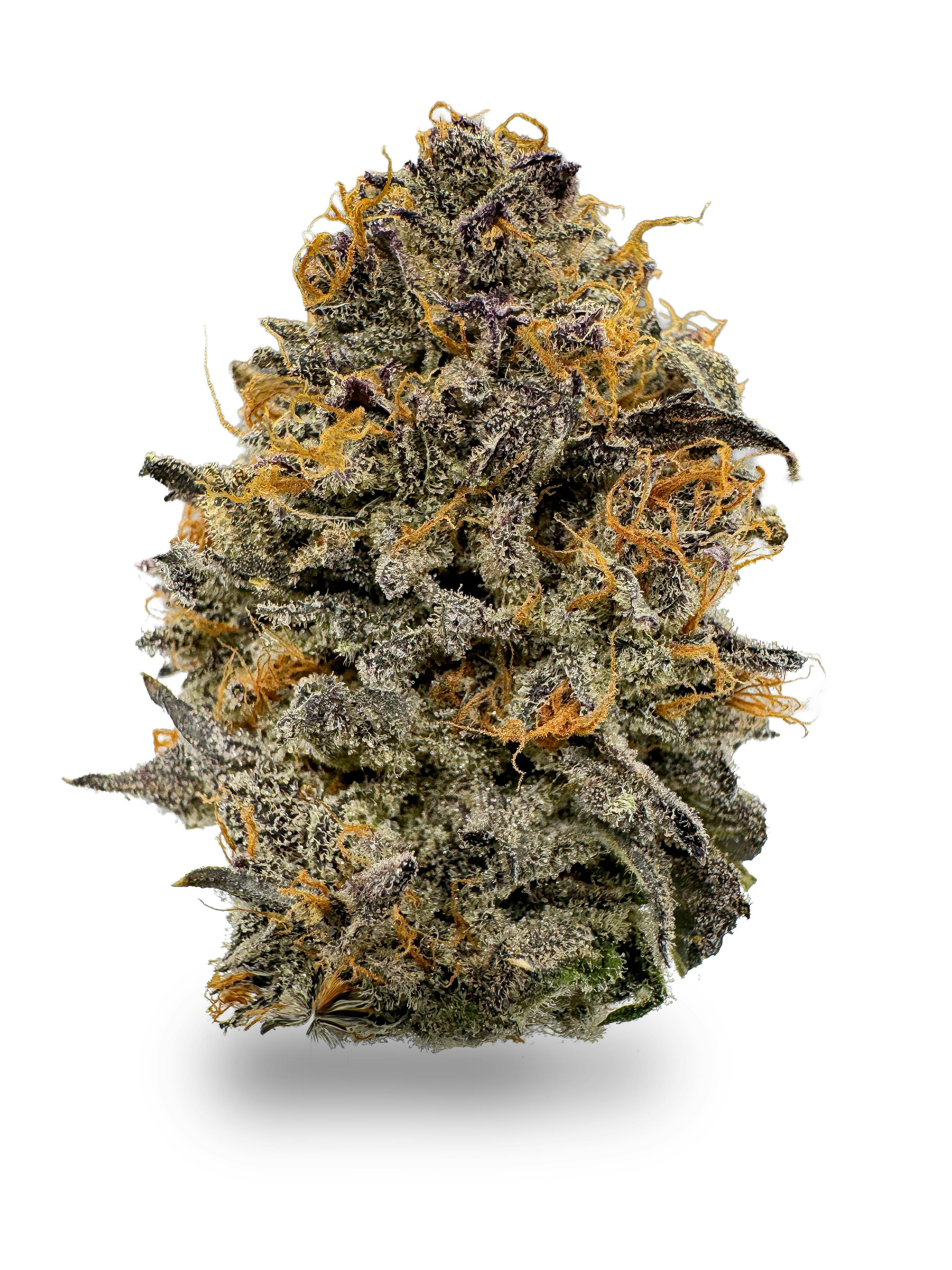 SATTVA Cannabis - S A T T V A | Gelo Belts (Gelonade x Rainbow Belts 3.0) | Premium Indoor 4g - 1