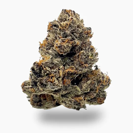 SATTVA Cannabis - S A T T V A | Ice Cream Cake "Alpha Cut" | Premium Indoor | 14g - 1
