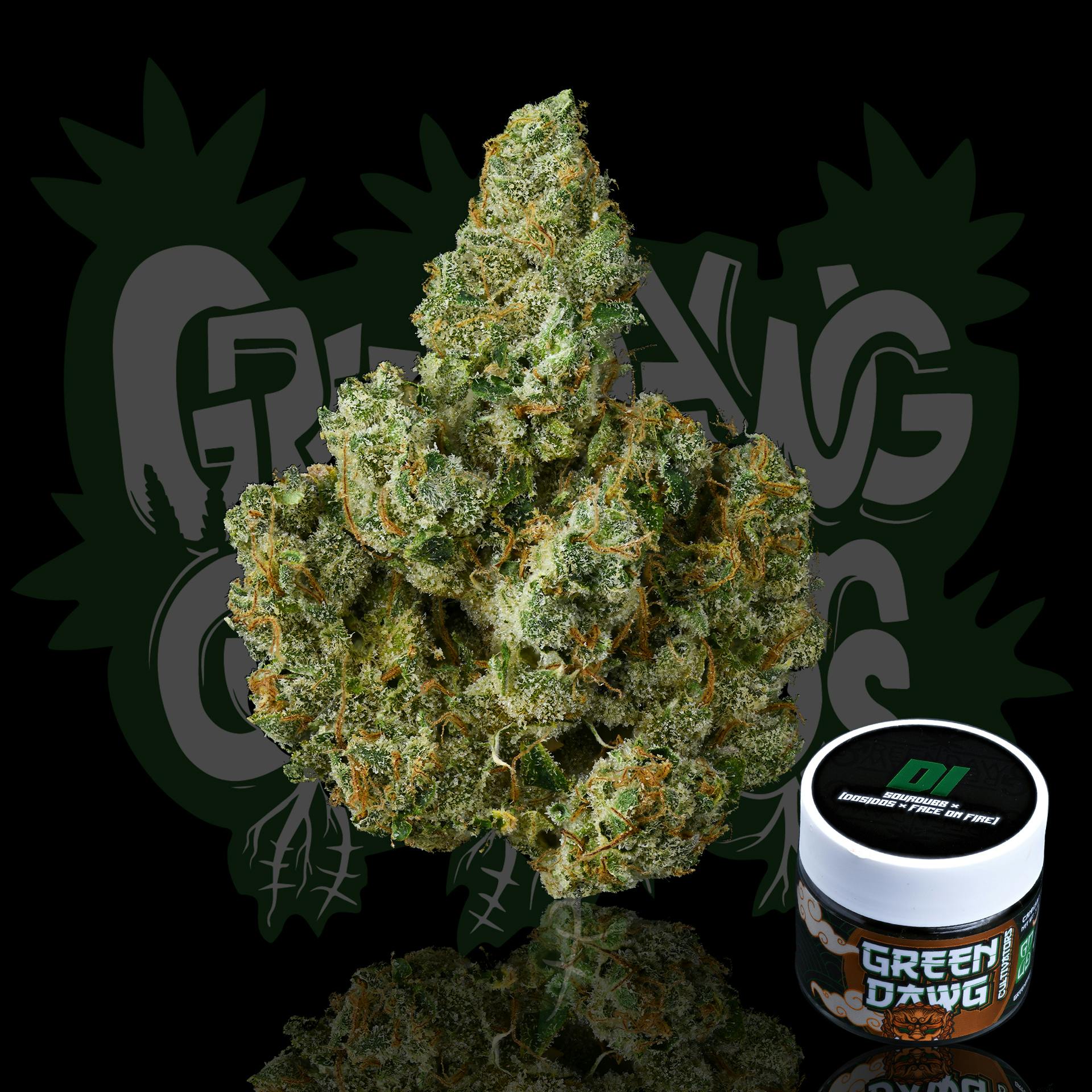 Green Dawg - D1 | Big Buds | 3.5g - 1