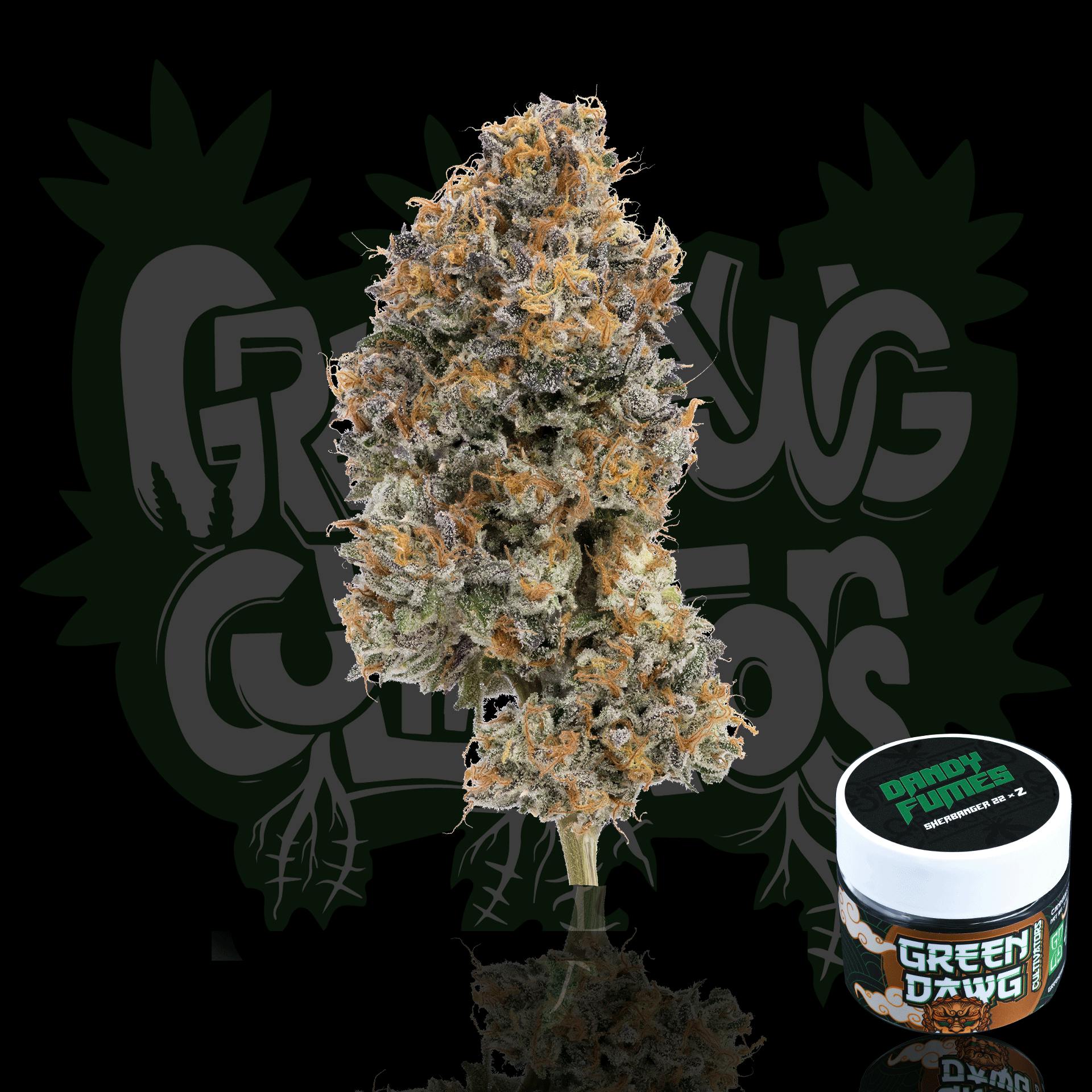 Green Dawg - Dandy Fumes | Big Buds | 3.5g - 1