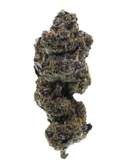 Green Dawg - Black Biscotti | Big Buds | 3.5g - 1