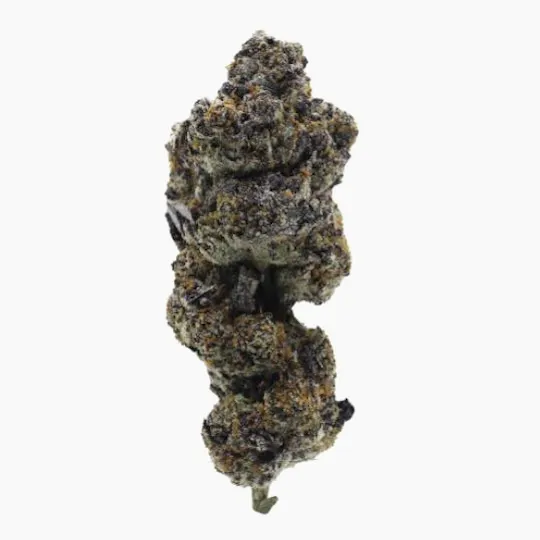Green Dawg - Black Biscotti | Big Buds | 3.5g - 1