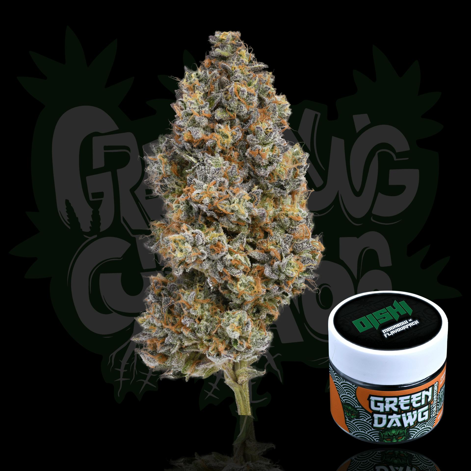 Green Dawg - Oishi | Big Buds | 3.5g - 1