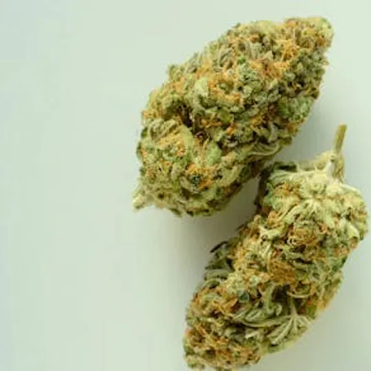 Batch's Buds - Batch's Buds | Maui Wowie – Bargain Shelf | Big Buds | 28g - 1