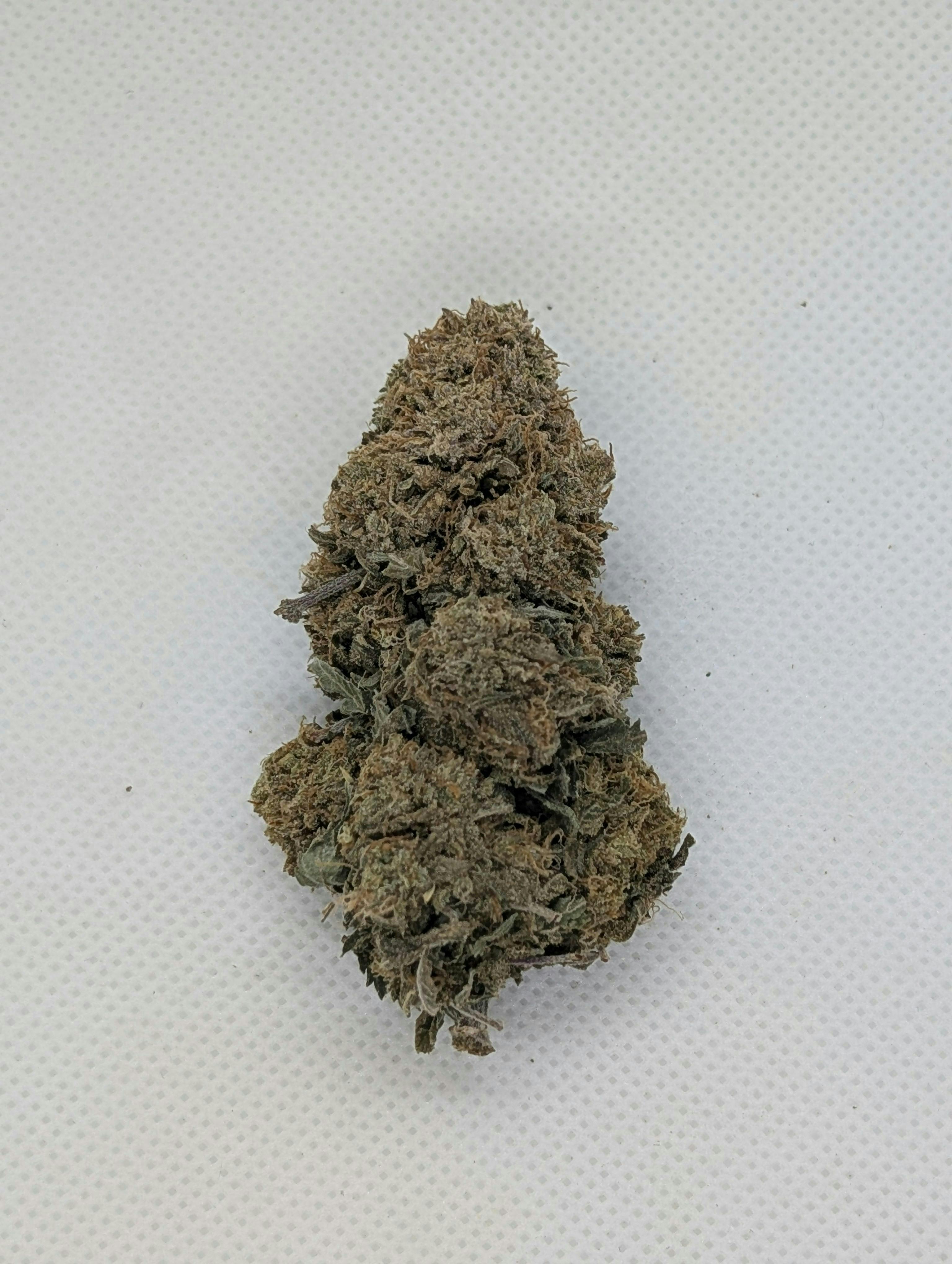 Batch's Buds - Batch's Buds | Blue Dream – Intermediate Shelf | Big Buds | 14g - 1