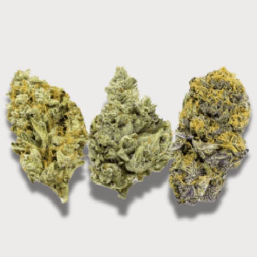 Batch's Buds - Batch's Buds | Top Shelf Medley – Top Shelf | Big Buds | 14g - 1