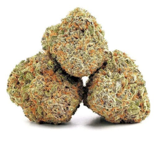 Batch's Buds - Batch's Buds | Critical Plus – Top Shelf | Big Buds | 14g - 1