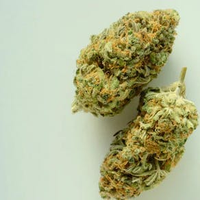 Batch's Buds - Batch's Buds | Maui Wowie – Bargain Shelf | Big Buds | 7g - 1