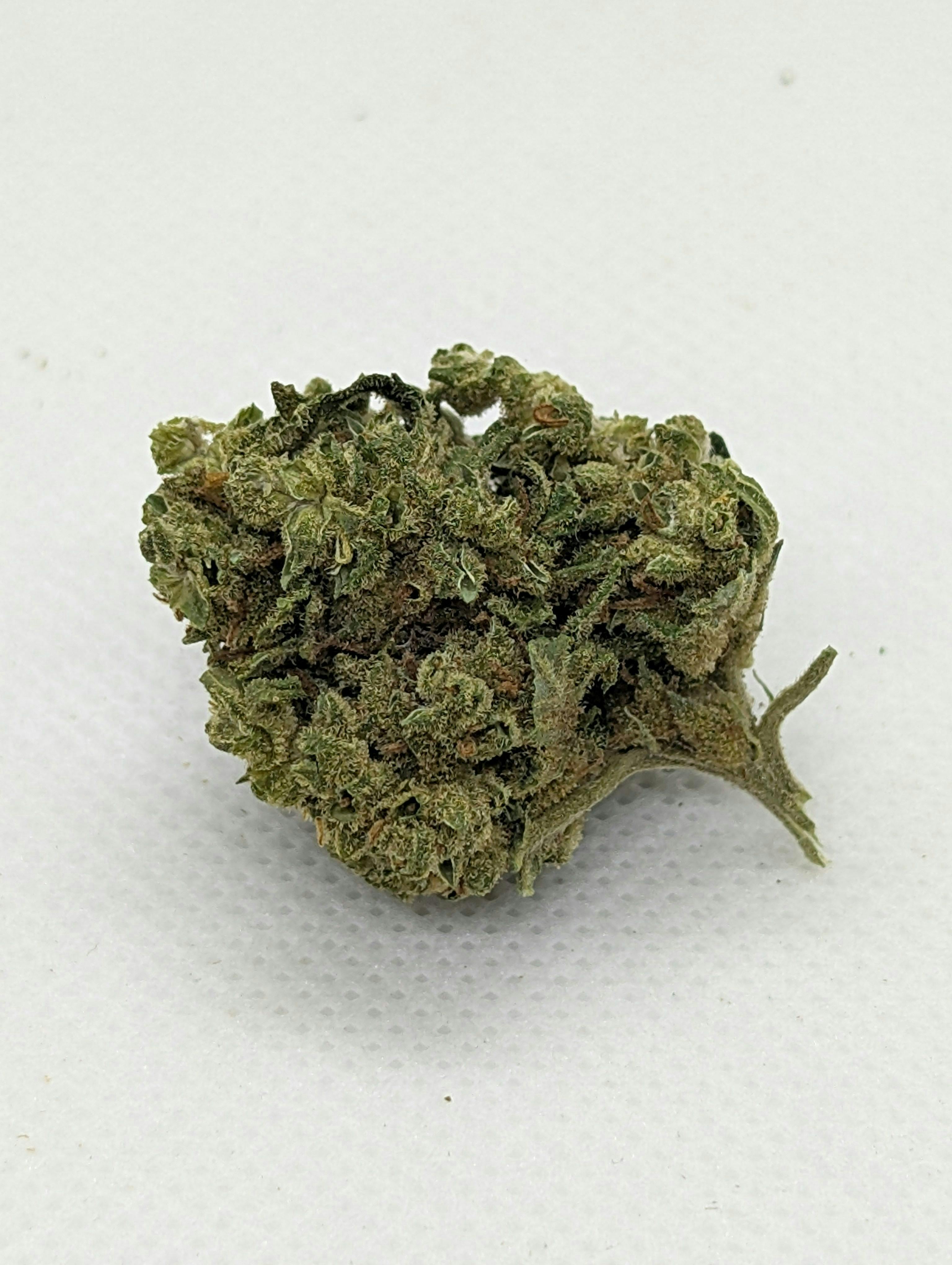 Batch's Buds - Batch's Buds | Jelly Pie – Bargain Shelf | Big Buds | 28g - 1