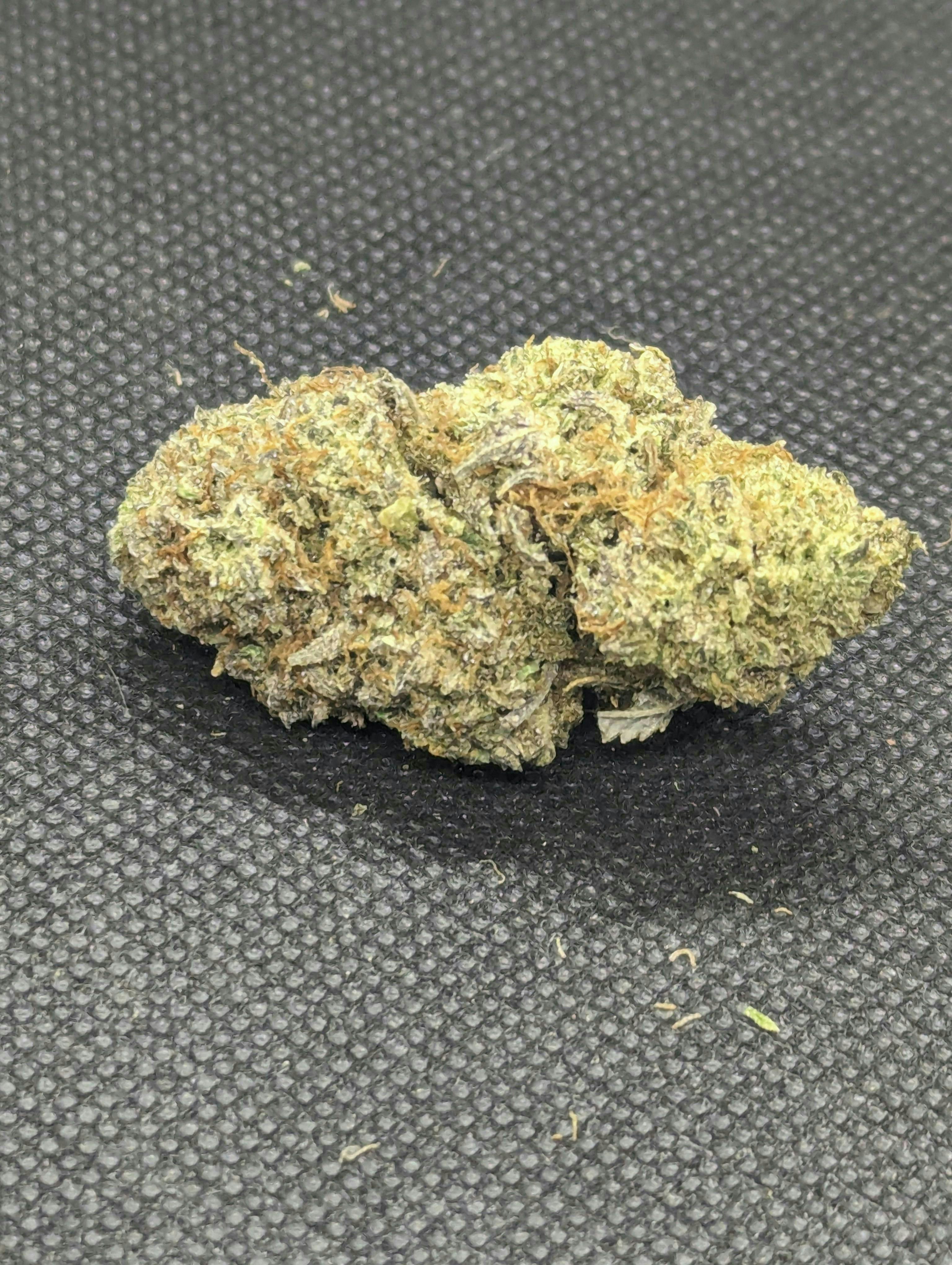 Batch's Buds - Batch's Buds | Icey Latto – Top Shelf | Big Buds | 14g - 1