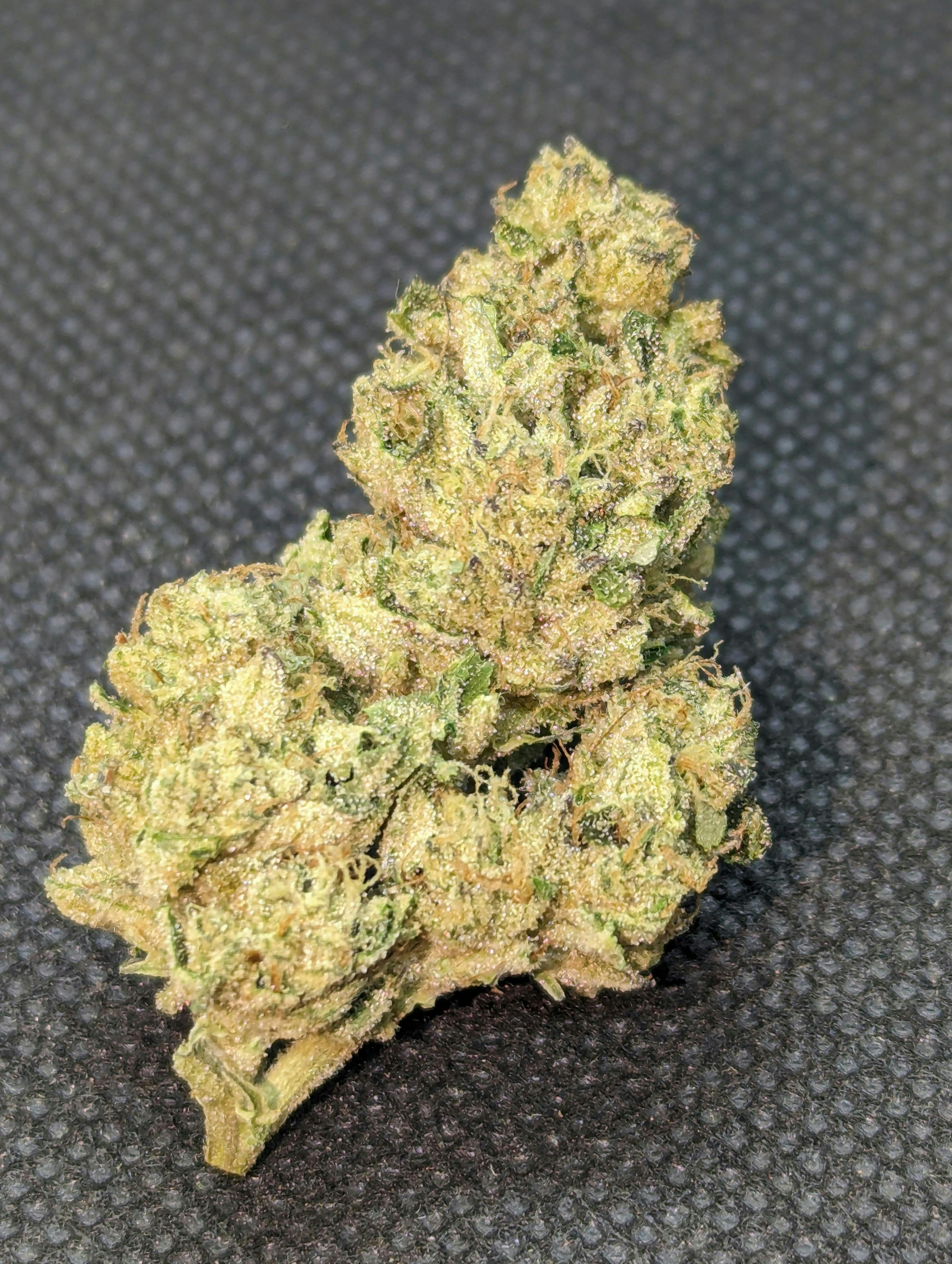 Batch's Buds - Batch's Buds | Frosted Donuts – Intermediate Shelf | Big Buds | 1g - 1