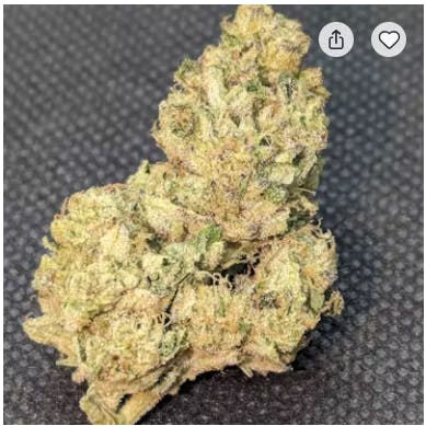 Batch's Buds - Batch's Buds | Lemon Haze – Intermediate Shelf | Big Buds | 7g - 1