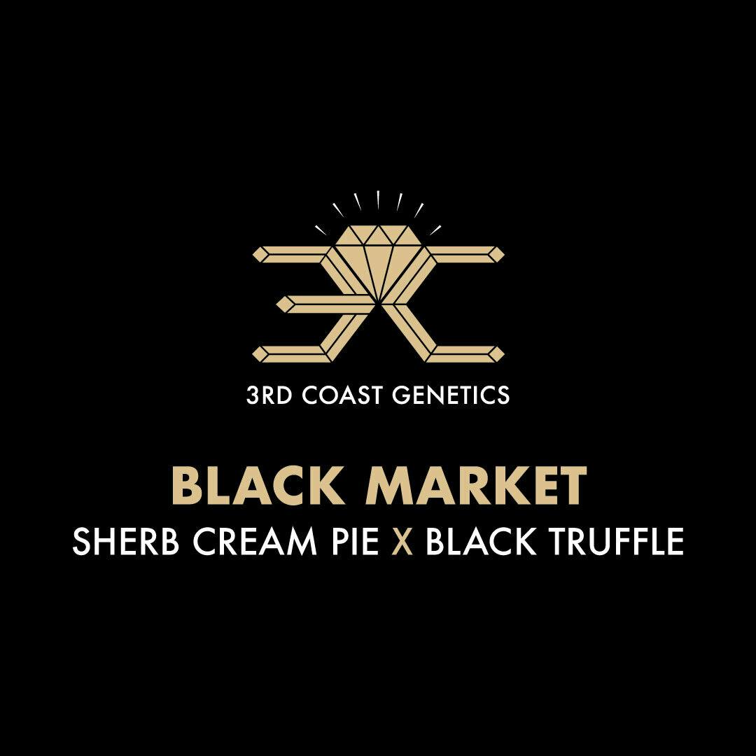 3rd Coast Genetics - 3rd Coast Genetics | Black Market | Seeds | 10pk - 1