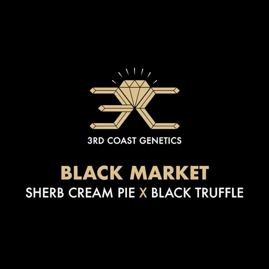 3rd Coast Genetics - 3rd Coast Genetics | Black Market | Seeds | 10pk - 1