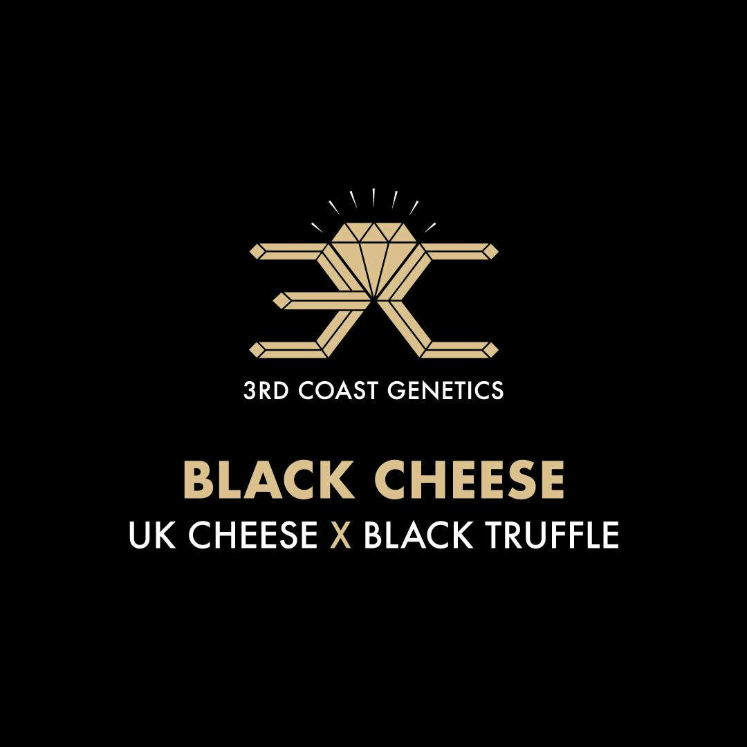 3rd Coast Genetics - 3rd Coast Genetics | Black Cheese | Seeds | 10pk - 1