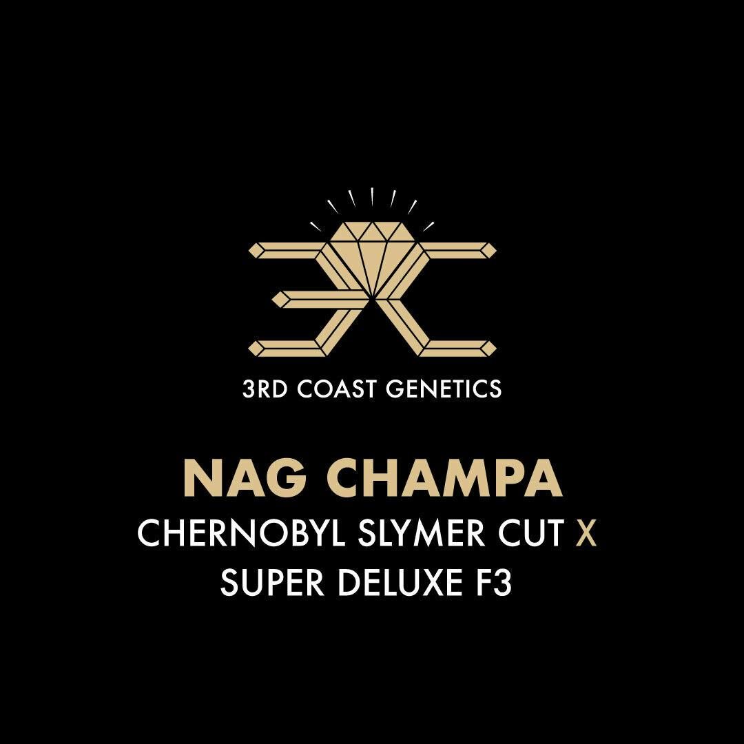 3rd Coast Genetics - 3rd Coast Genetics | Nag Champa | Seeds | 10pk - 1