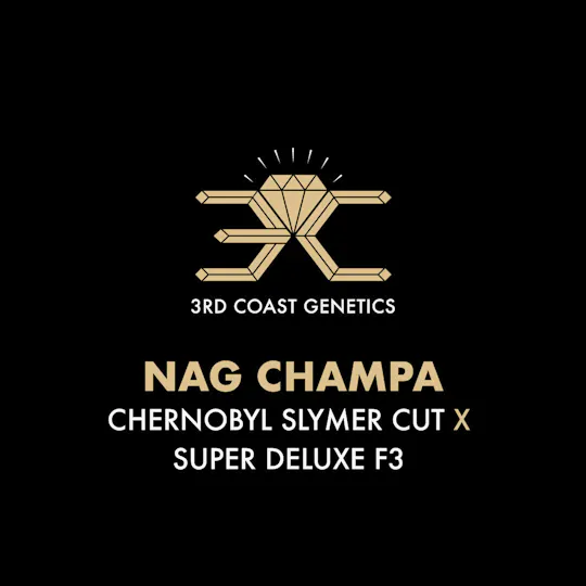 3rd Coast Genetics - 3rd Coast Genetics | Nag Champa | Seeds | 10pk - 1