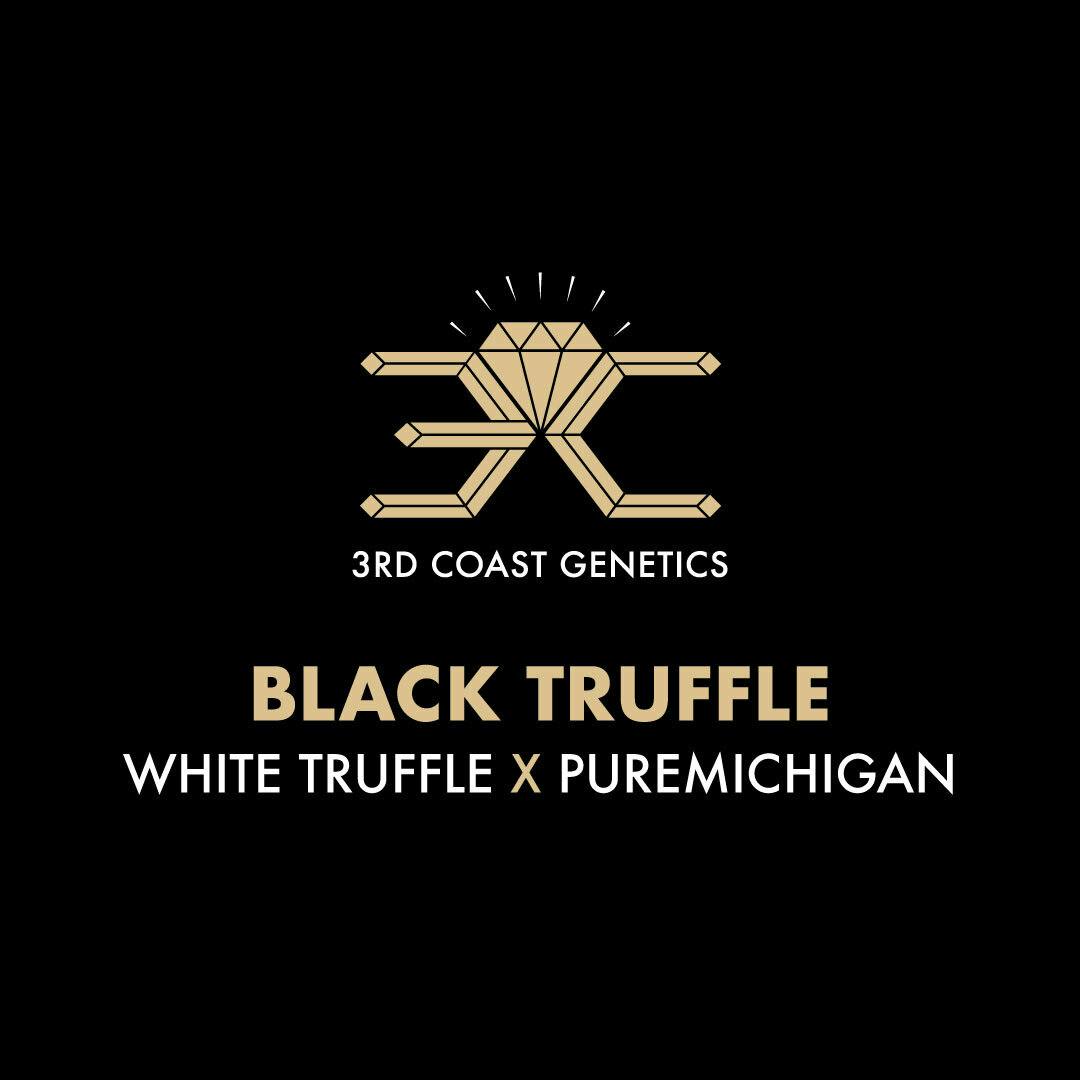 3rd Coast Genetics - 3rd Coast Genetics | Black Truffle | Seeds | 10pk - 1