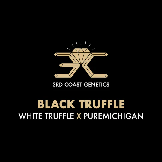 3rd Coast Genetics - 3rd Coast Genetics | Black Truffle | Seeds | 10pk - 1