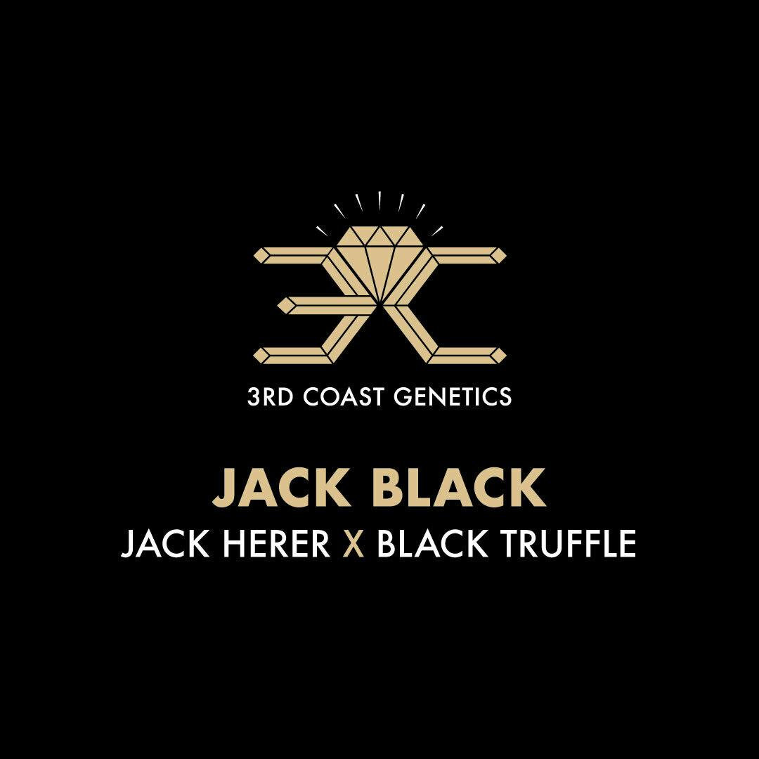 3rd Coast Genetics - 3rd Coast Genetics | Jack Black | Seeds | 10pk - 1