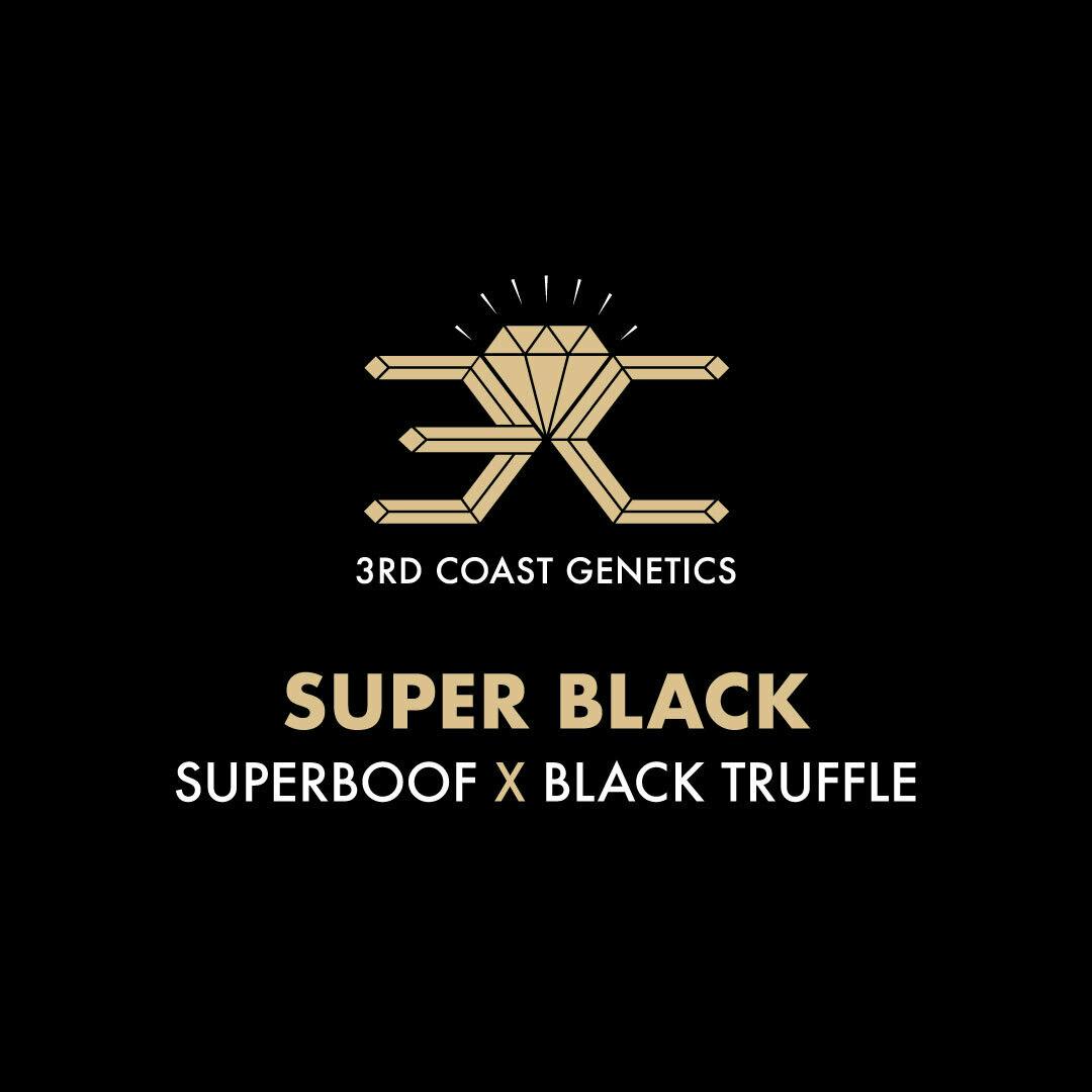 3rd Coast Genetics - 3rd Coast Genetics | Super Black | Seeds | 10pk - 1