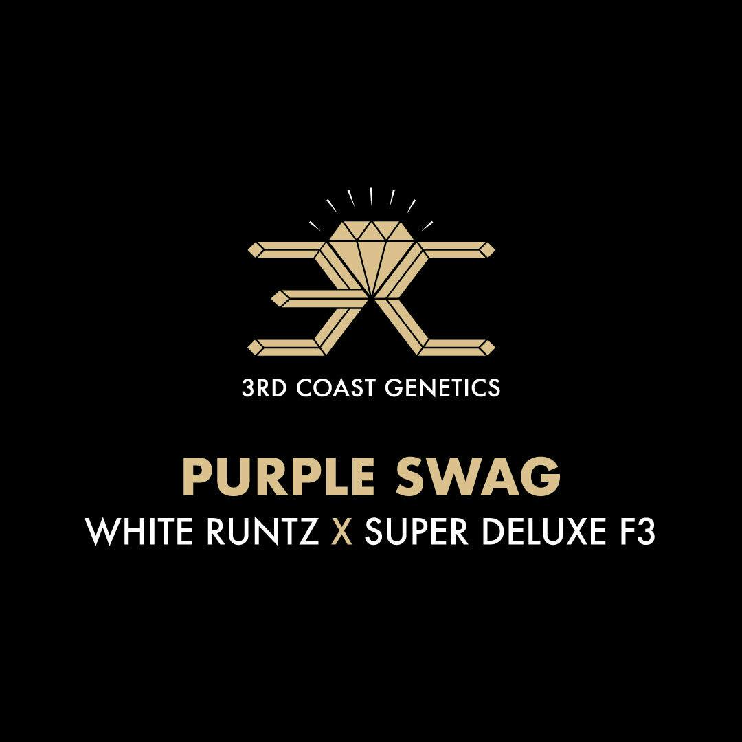 3rd Coast Genetics - 3rd Coast Genetics | Purple Swag | Seeds | 10pk - 1