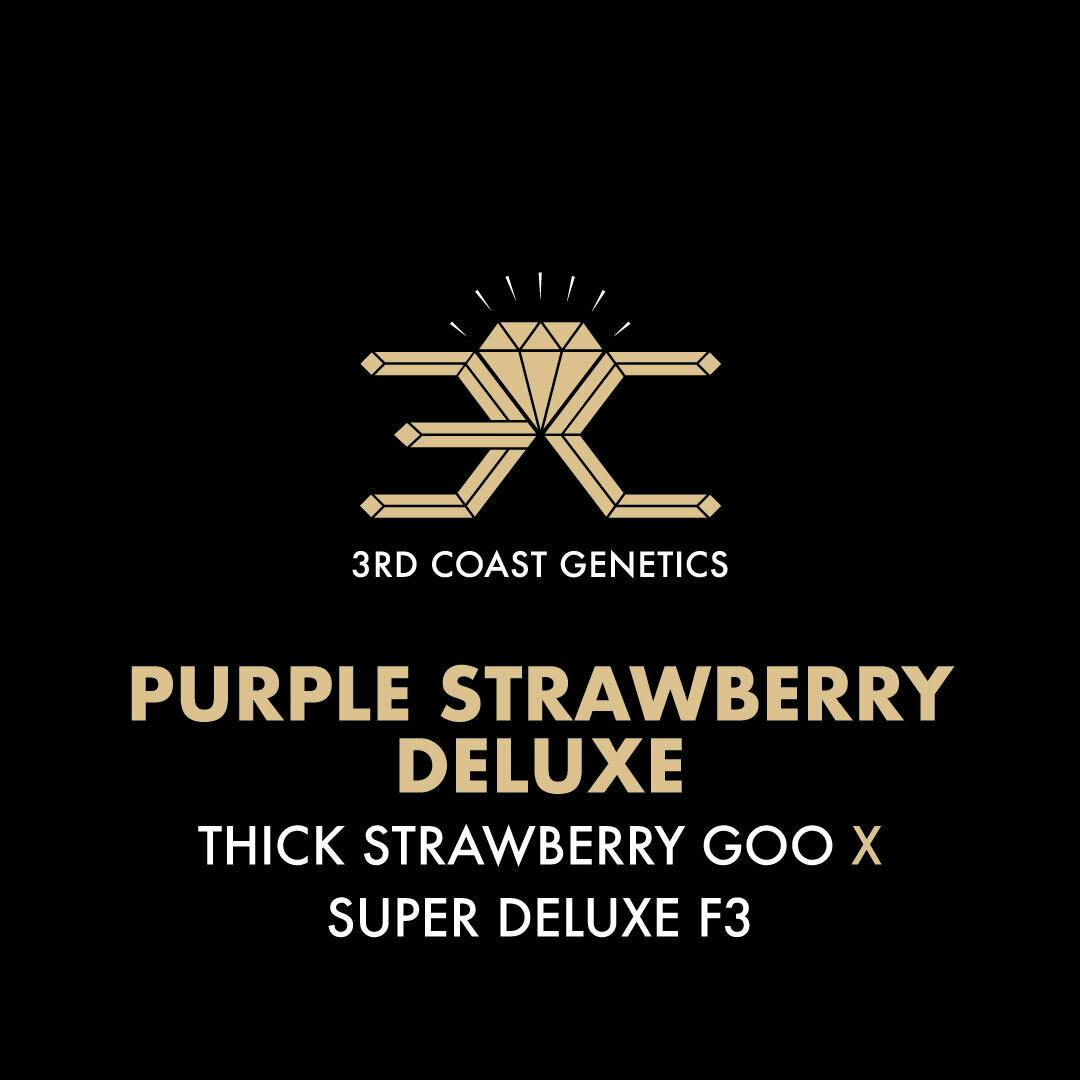 3rd Coast Genetics - 3rd Coast Genetics | Purple Strawberry Deluxe | Seeds | 10pk - 1
