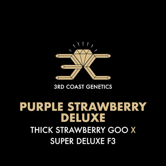 3rd Coast Genetics - 3rd Coast Genetics | Purple Strawberry Deluxe | Seeds | 10pk - 1