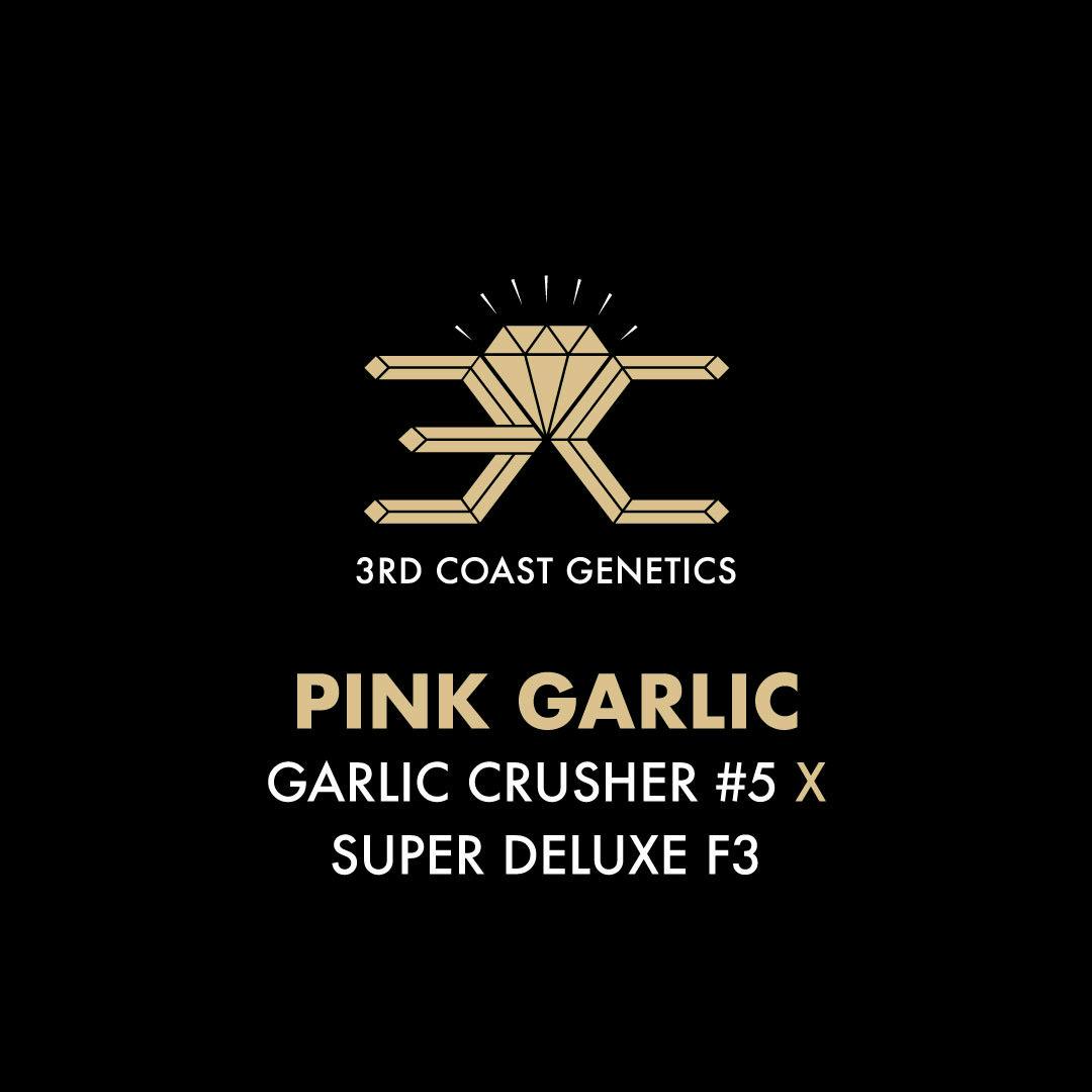3rd Coast Genetics - 3rd Coast Genetics | Pink Garlic | Seeds | 10pk - 1