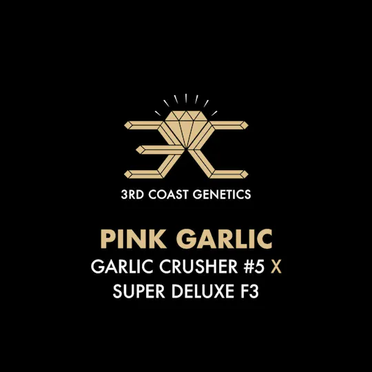3rd Coast Genetics - 3rd Coast Genetics | Pink Garlic | Seeds | 10pk - 1