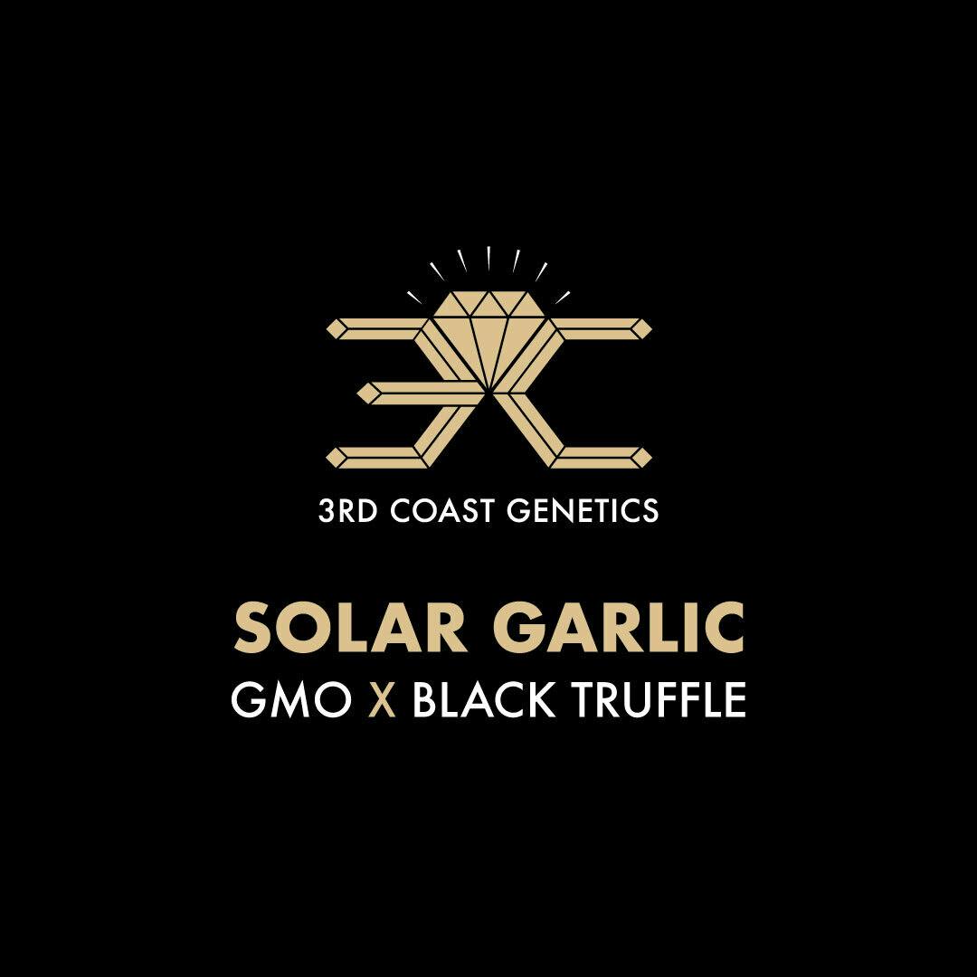 3rd Coast Genetics - 3rd Coast Genetics | Solar Garlic | Seeds | 10pk - 1