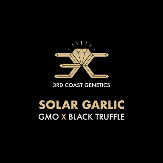 3rd Coast Genetics - 3rd Coast Genetics | Solar Garlic | Seeds | 10pk - 1