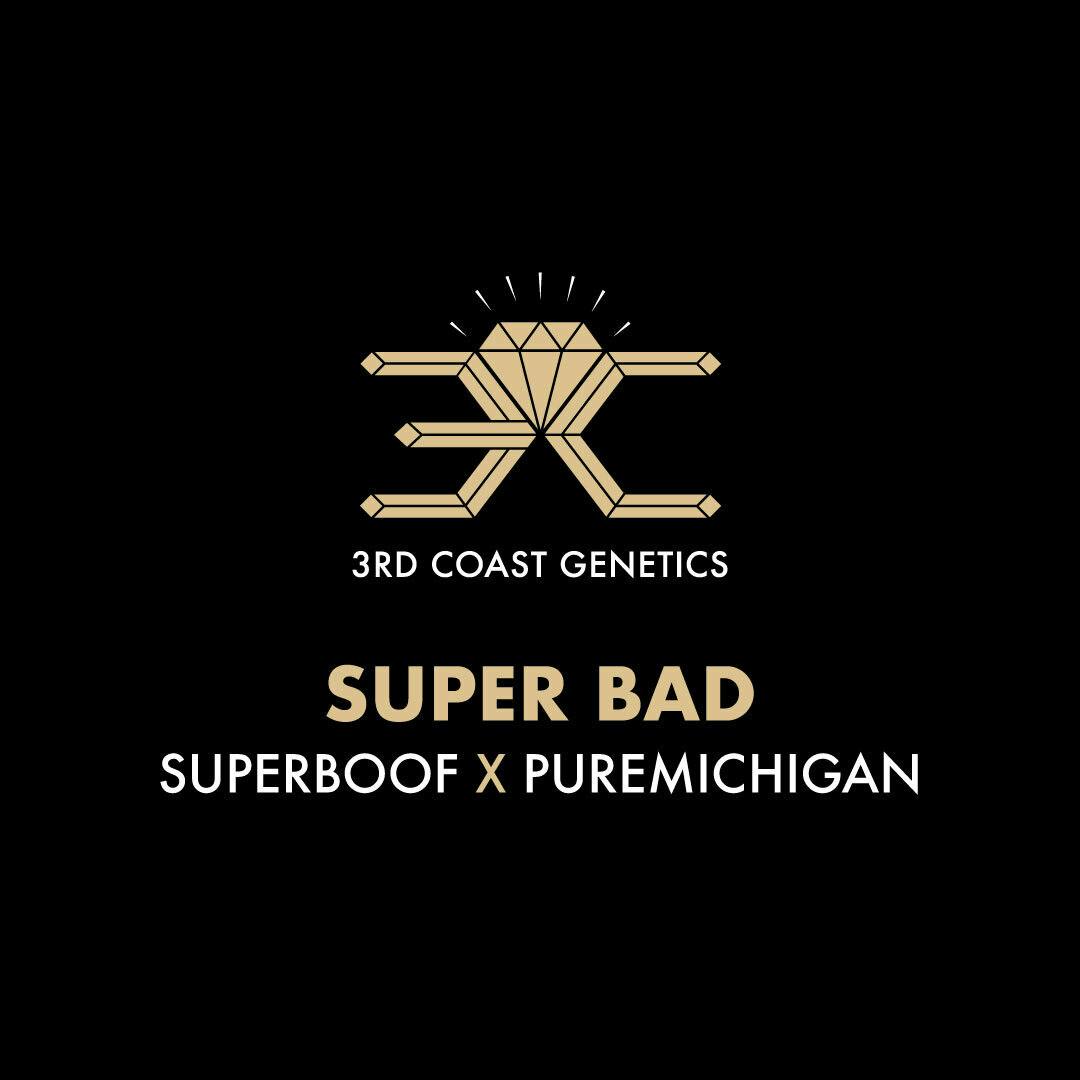 3rd Coast Genetics - 3rd Coast Genetics | Super Bad | Seeds | 10pk - 1