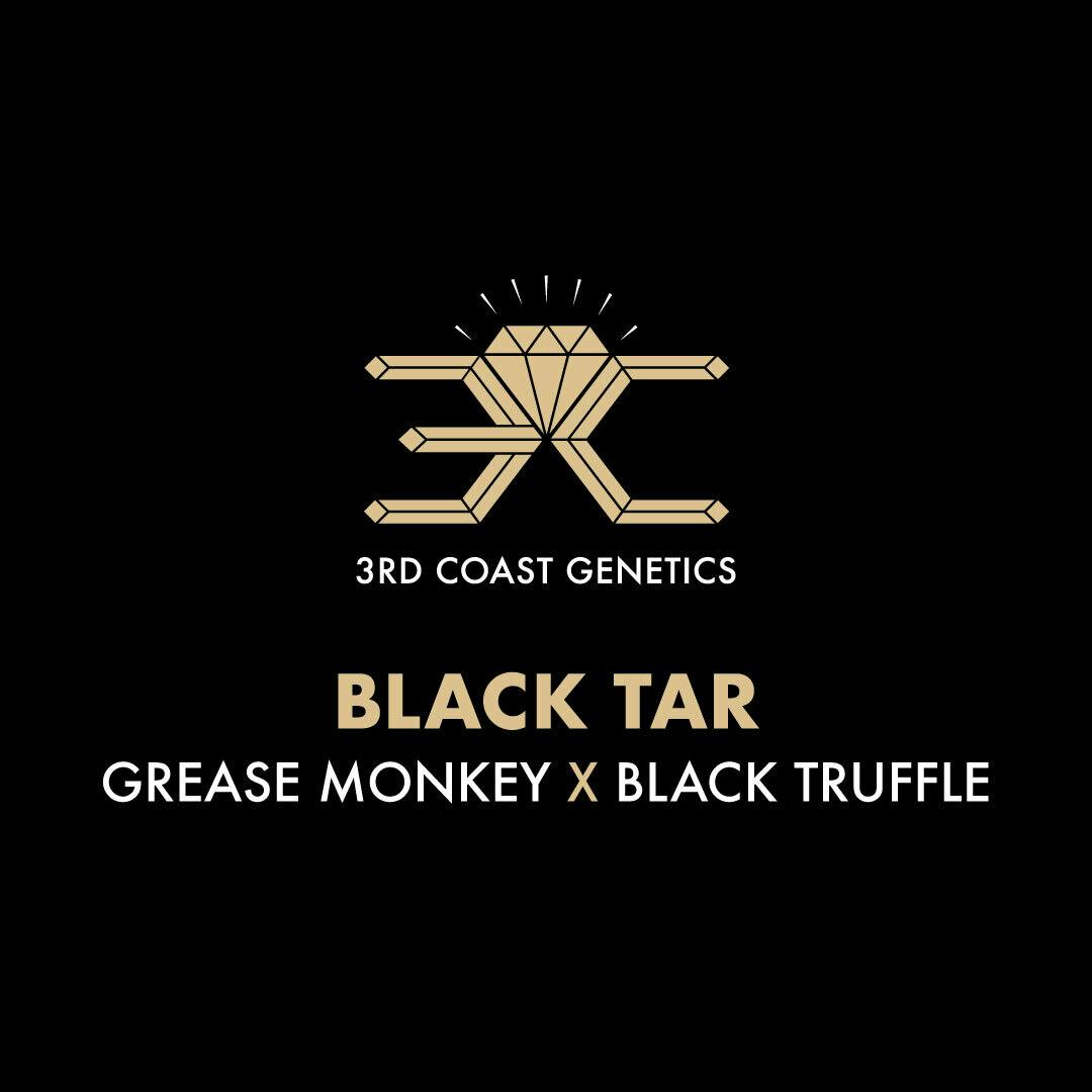 3rd Coast Genetics - 3rd Coast Genetics | Black Tar | Seeds | 10pk - 1