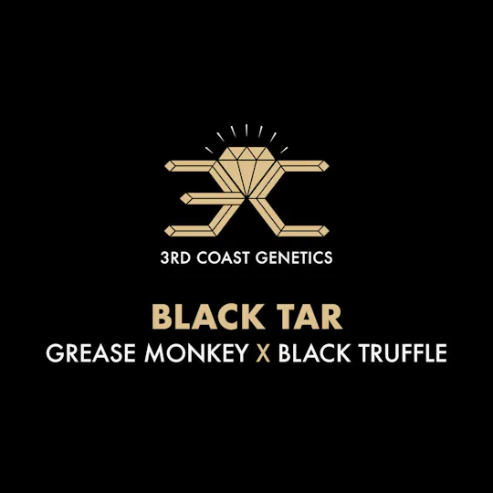 3rd Coast Genetics - 3rd Coast Genetics | Black Tar | Seeds | 10pk - 1
