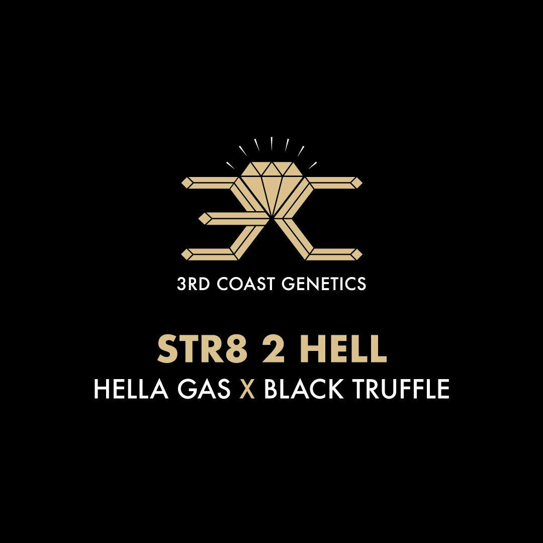 3rd Coast Genetics - 3rd Coast Genetics | Str8 2 Hell | Seeds | 10pk - 1