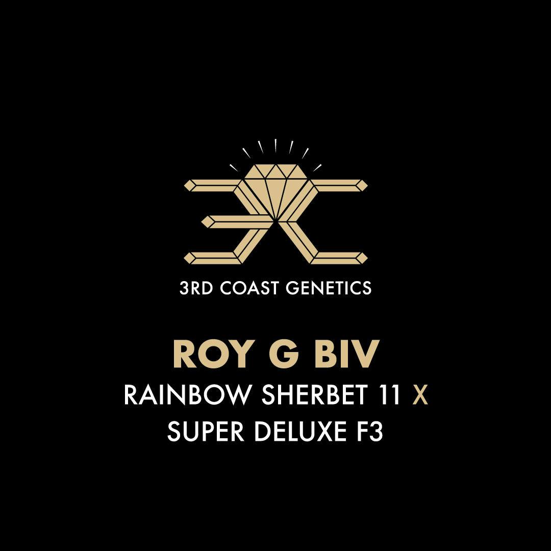 3rd Coast Genetics - 3rd Coast Genetics | Roy G Biv | Seeds | 10pk - 1